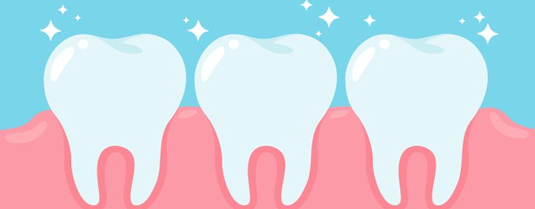 Teeth and Gums